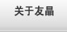 关于友晶