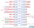 Thumbnail for version as of 09:21, 19 June 2020